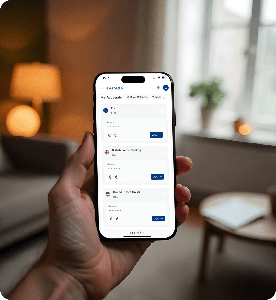 Instant Business Payment