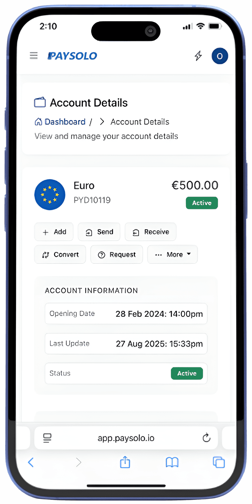 PaySolo App Screenshot